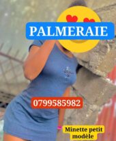 palmerais petit modele